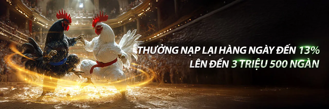 Trực Tiếp Đá Gà Thomo C6